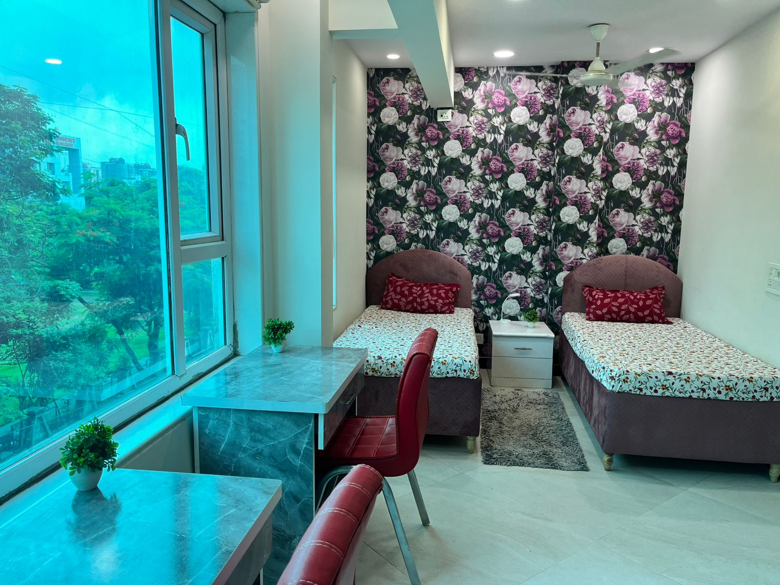 Hostel Image 6